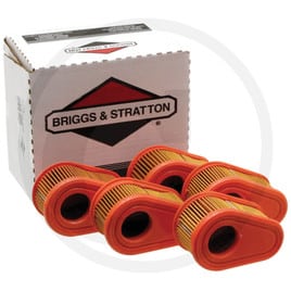 Briggs & Stratton Filter